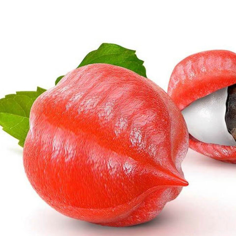 SHOTT Natural Energy Boost Syrup