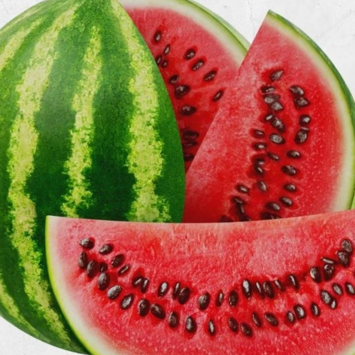 SHOTT Watermelon & Natural Energy Boost Combo