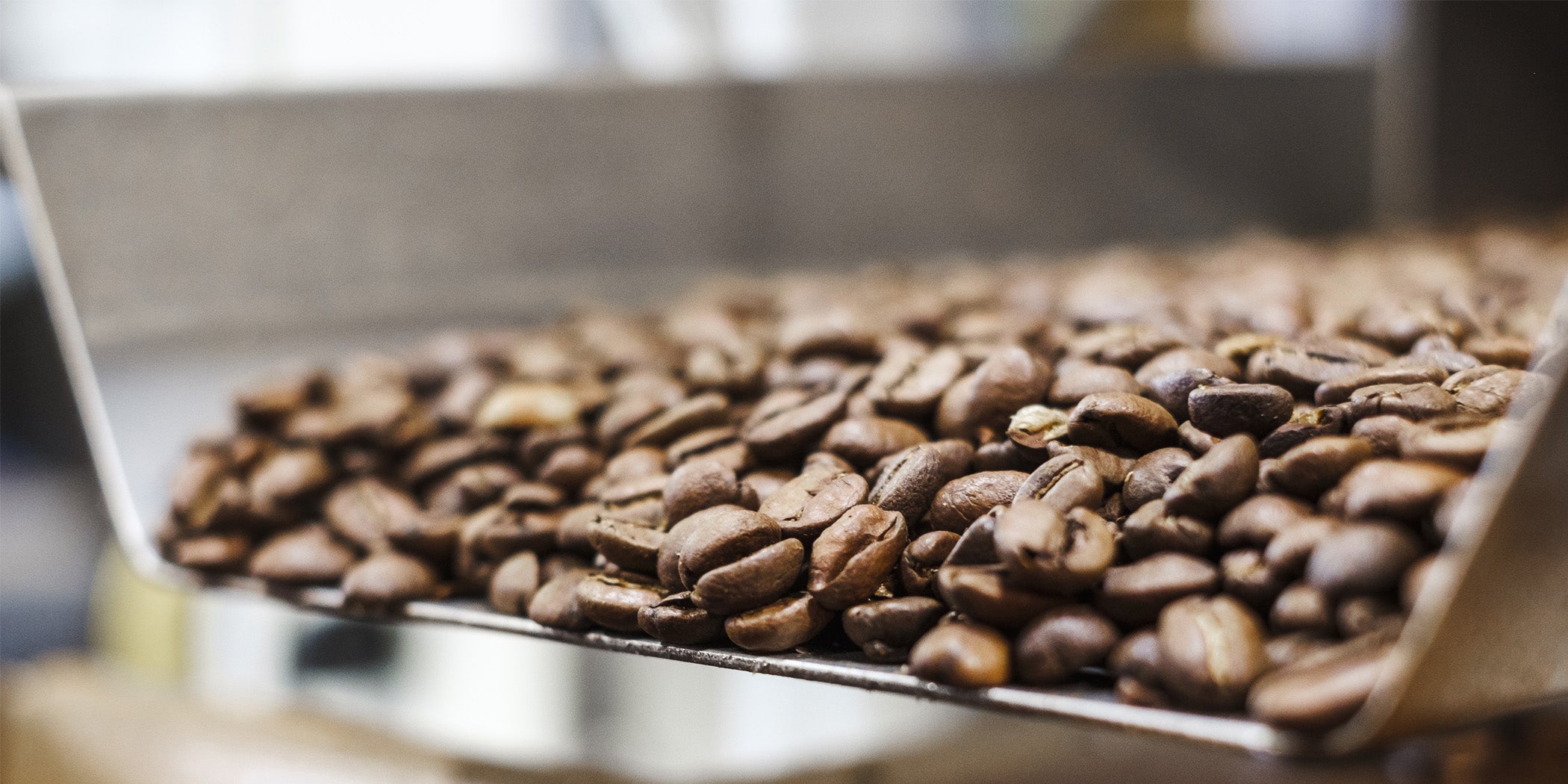 Freshly roasted beans